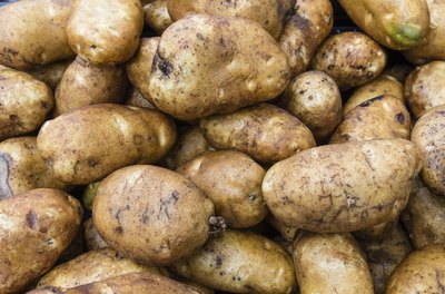 Large pile of russet potatoes.