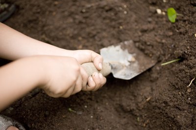 Close-up of spade in soil