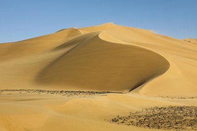 the world's largest non-polar desert, the Sahara, is in Africa
