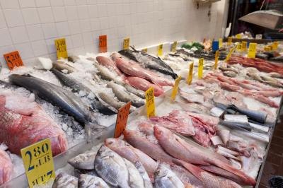 An assortment of fresh fish for sale in a market.