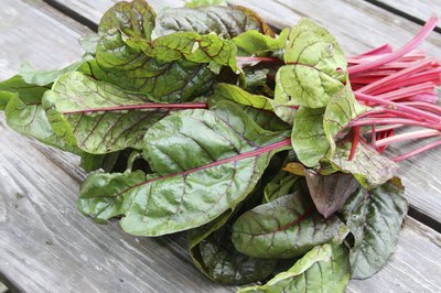 A bunch of swiss chard.