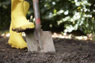 Shovel digs a hole in soil