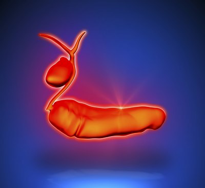 Illustration of pancreas and gallbladder.