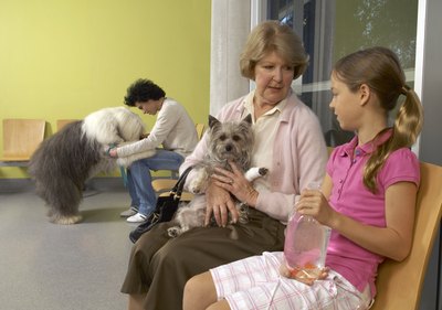 Sick dogs.