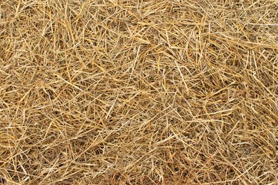 Pile of straw over grass