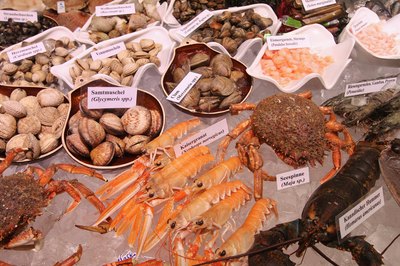 Seafood on ice display