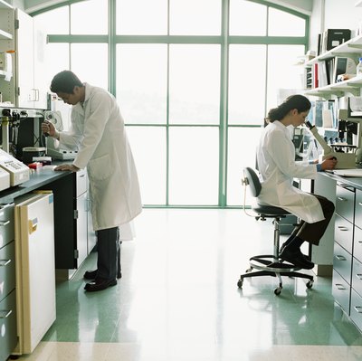 Research scientists working.