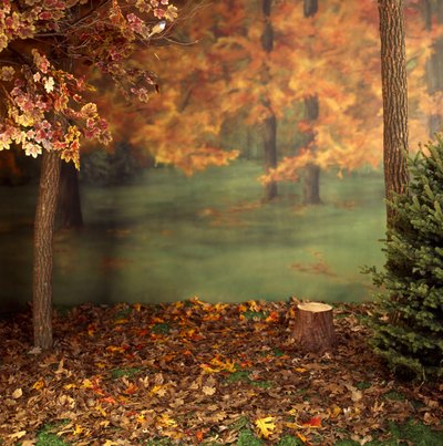 Fall is all about change, and a fall festival celebrates that change.