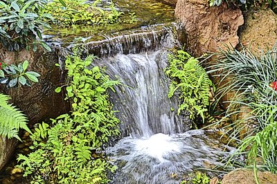 Artificial waterfall with foliage