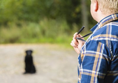 Dog whistles are used to train and give commands.
