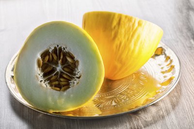 Cross section of a honeydew melon.
