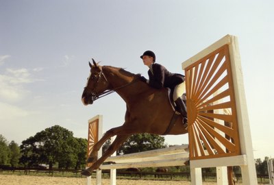 Jockey and horse making small jump in course.