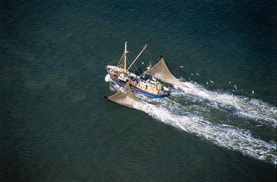 Starting a fishing business can be profitable and rewarding.
