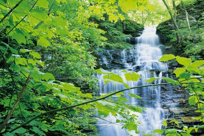 Natural Resources in Georgia