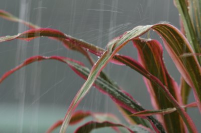 Water quality is also compromised by air pollution through acid rain.