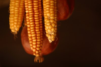 Both corn meal and corn flour come from the same plant.