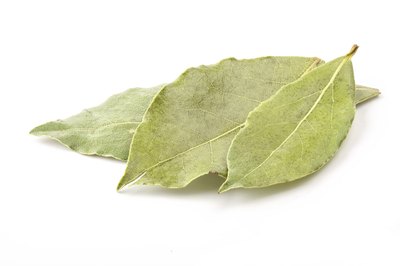 Bay leaves may not be the boldest or most brazen flavor in a cook's cabinet, but it's more potent than you may think.