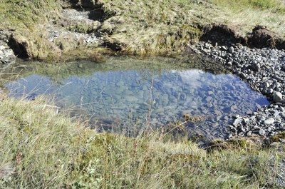 small collection of clean water on ground