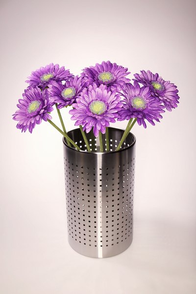 Gerbera daisies are commonly used to express cheer.