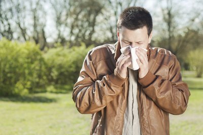 Cottonwood allergies may produce symptoms of hay fever.