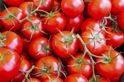 Close-up of large pile of tomatoes.