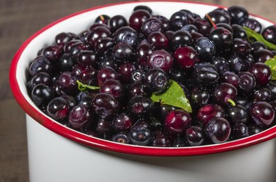 Bowl of huckleberries.