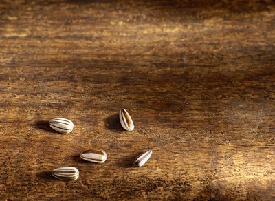 sunflower seeds
