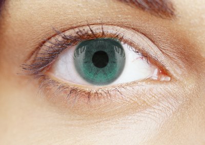 Pupil
