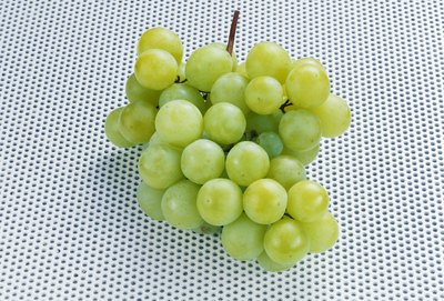 Grapes are toxic to dogs.