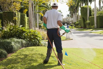 Definition of Pesticide