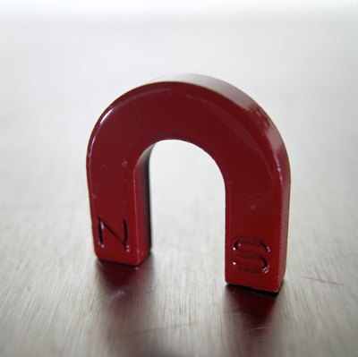 Magnet