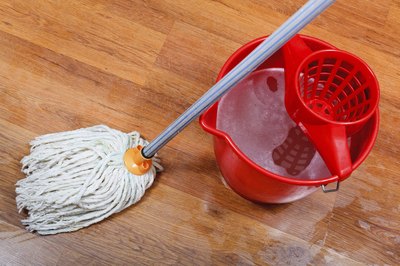 A rag mop and bucket.