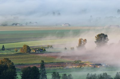 Foggy sunrise in the Fraser Valley region