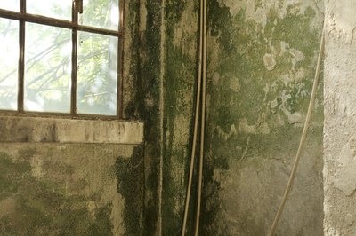 Wall with mold.