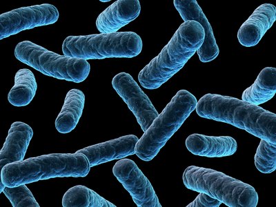Bacteria illustration.