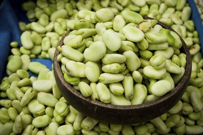What Is a Broad Bean?