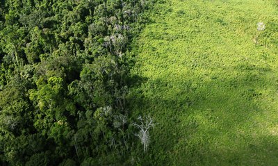 A deforested section of the Amazon rainforest is seen near the Amazon basin near Altamira Brizil.