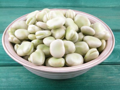 Broad beans are used in the same general way as dried New World beans.