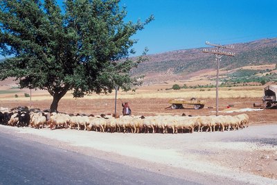 Anatolia