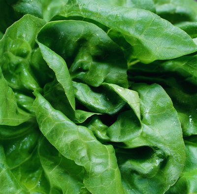 Dark green vegetables.