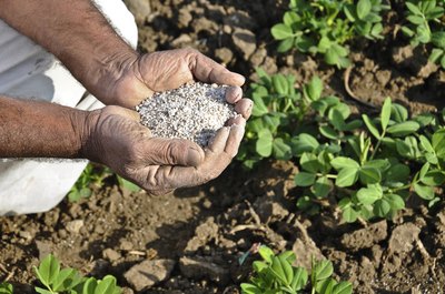 Fertilizer in hand.