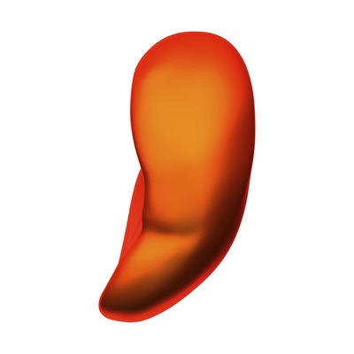 Human spleen isolated.