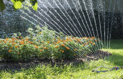 Sprinkler system shooting water at plants