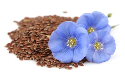 Flaxseeds.
