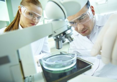 Lab technicians looking at a microscope.