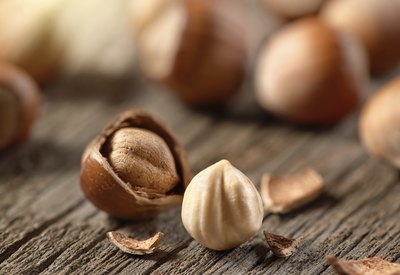 A hazelnut cracked open.