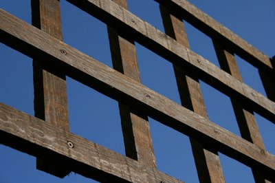 Garden Guides | How to Attach a Trellis to a Fence