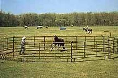 http://www.afence.com/EquestrianStallPanels.html