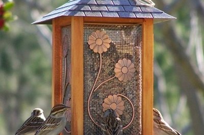 how do birds find bird feeders sciencing how do birds find bird feeders sciencing