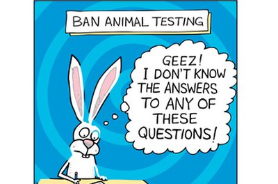 should animals be used for scientific or commercial testing